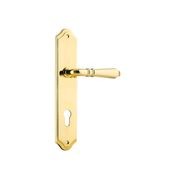 Iver Sarlat Lever on Shouldered Backplate Euro 250mm x 48mm Polished Brass 10212E85 gallery detail image