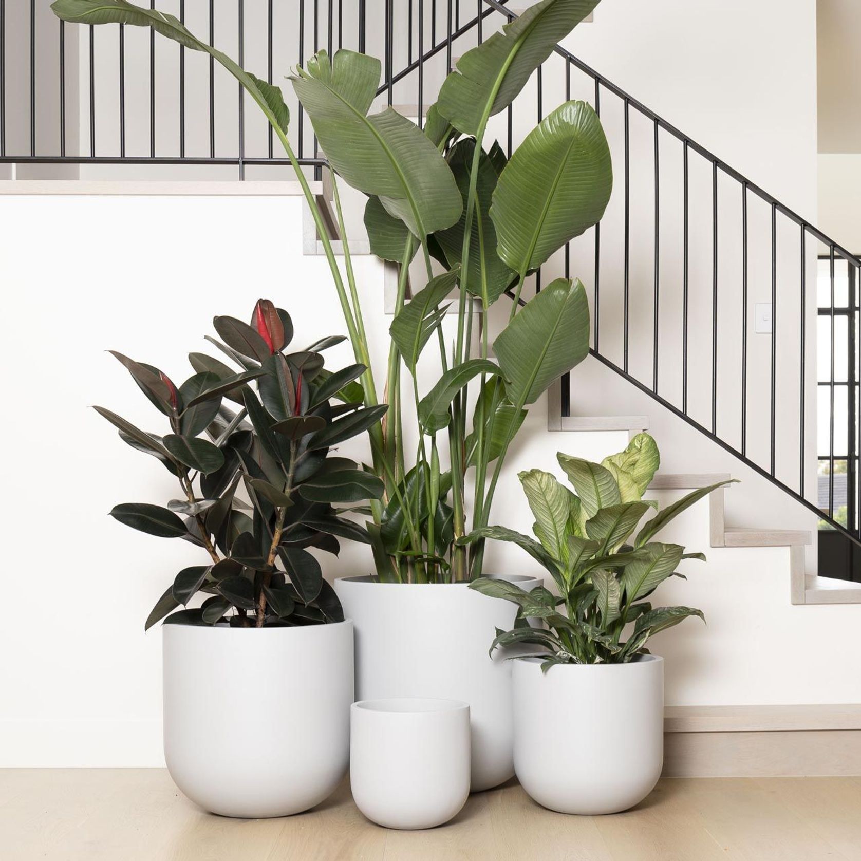 Tromso Cup gallery detail image