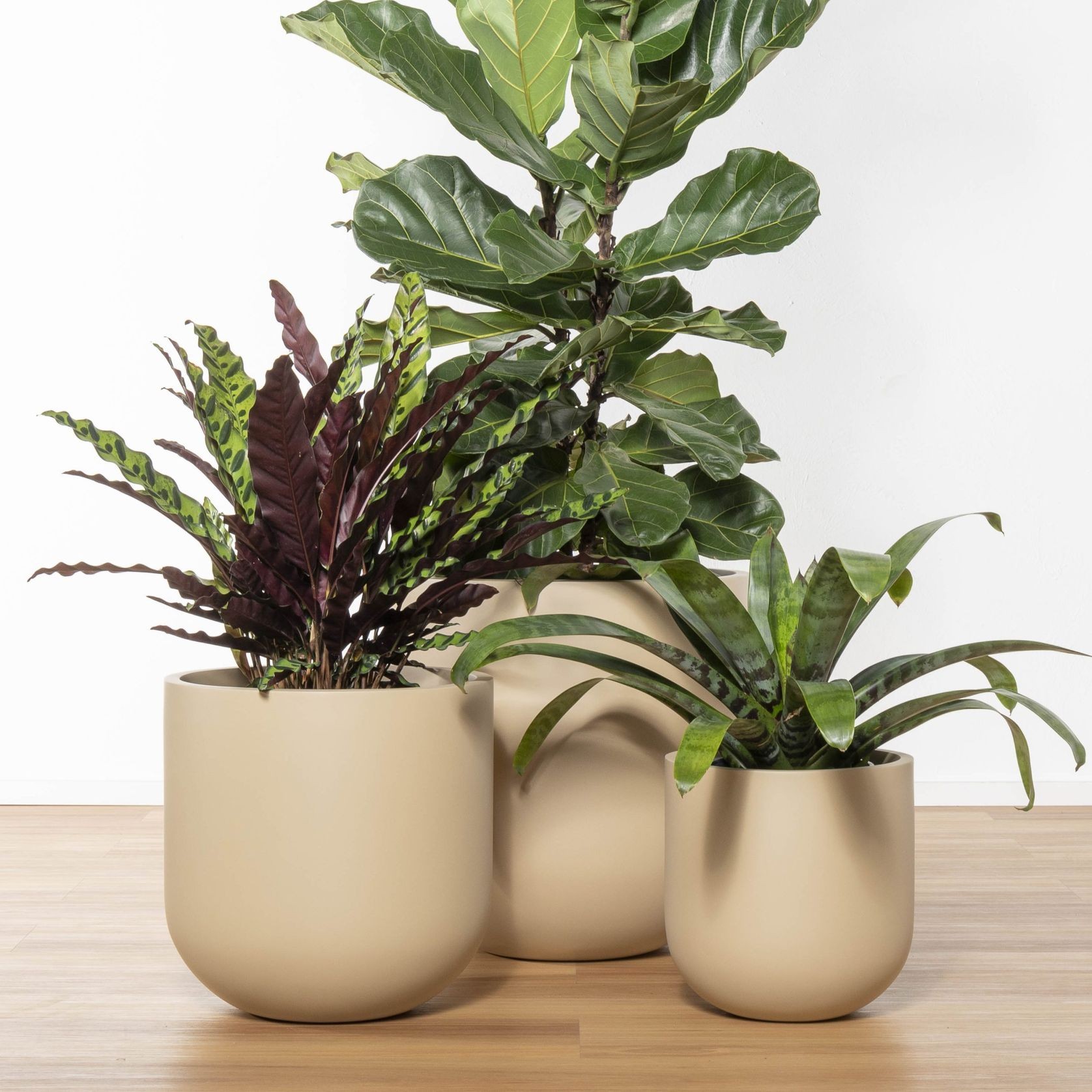 Tromso Cup gallery detail image