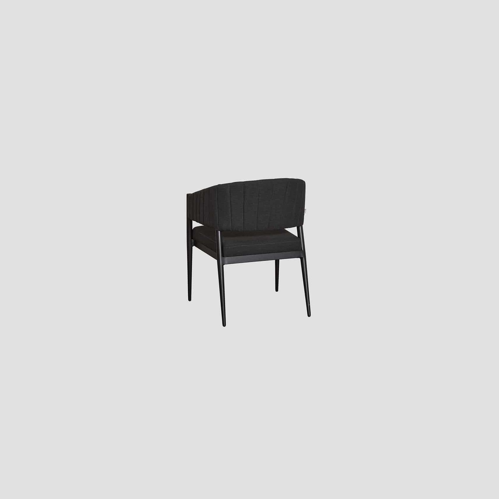 Takapuna Dining Chair gallery detail image