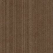 Duc Terra Eleganza Terra Reed 60x120 gallery detail image