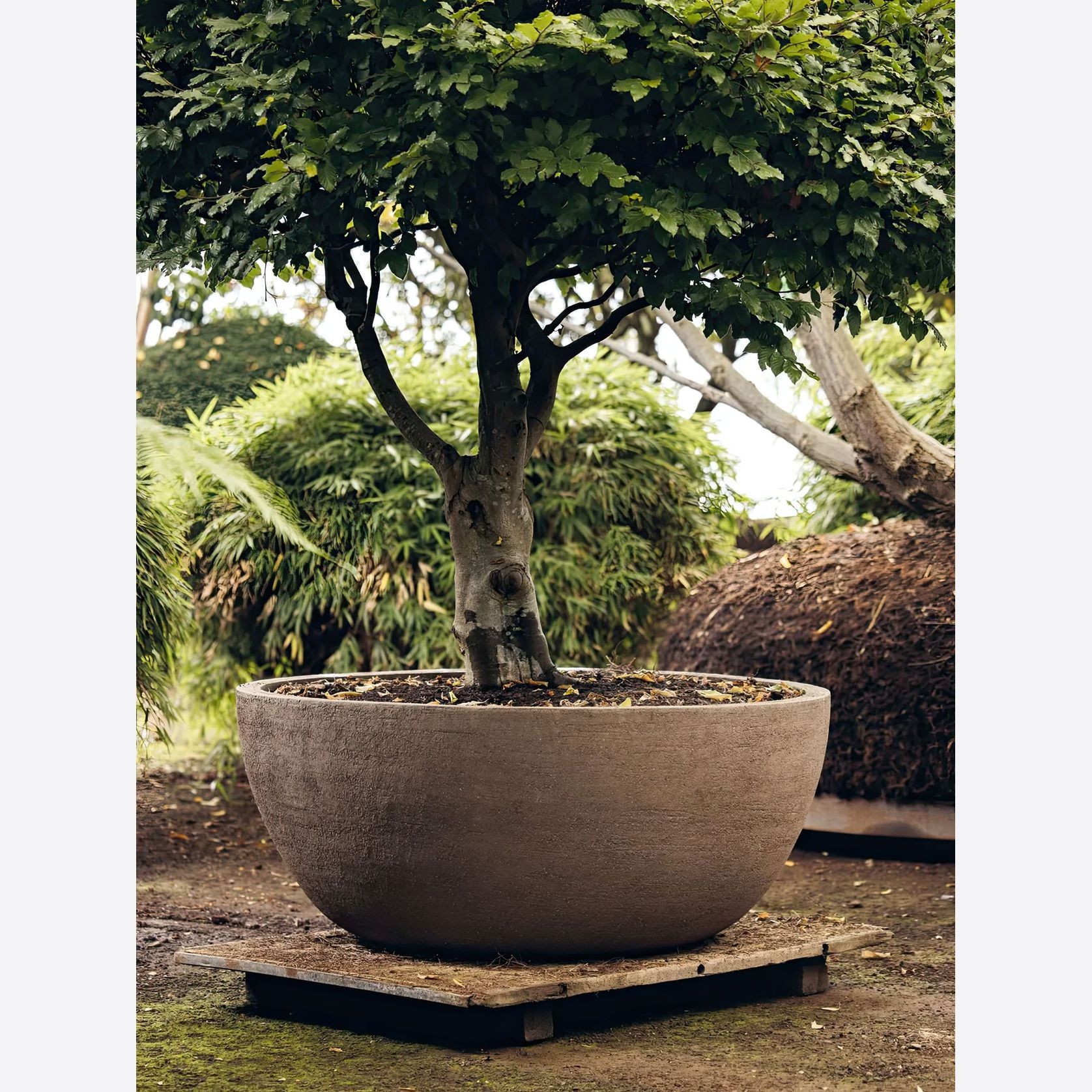 Texel Planter gallery detail image