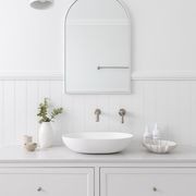 Willow Basin Sink gallery detail image