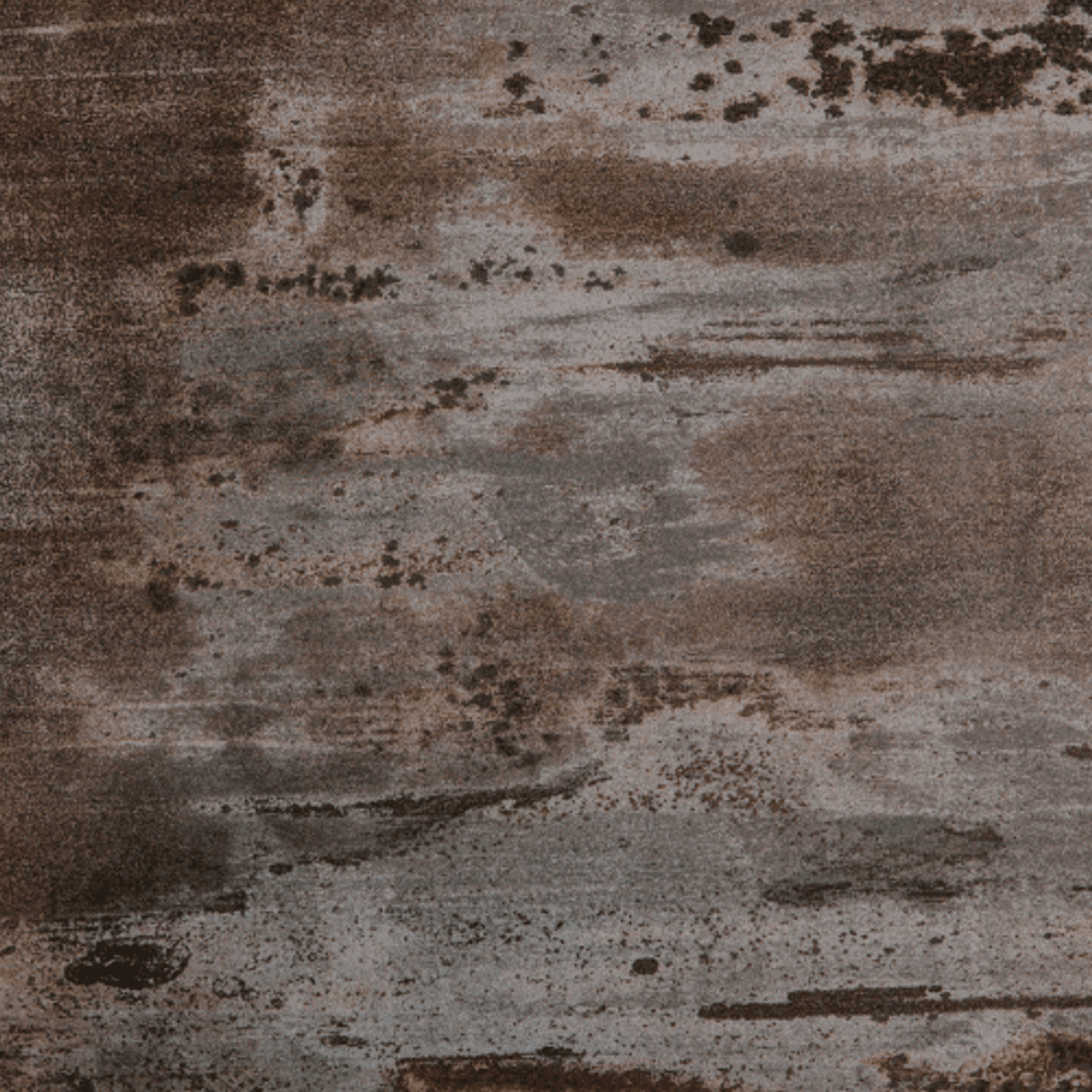 Trilium gallery detail image