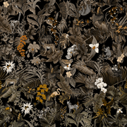 Tropics gallery detail image
