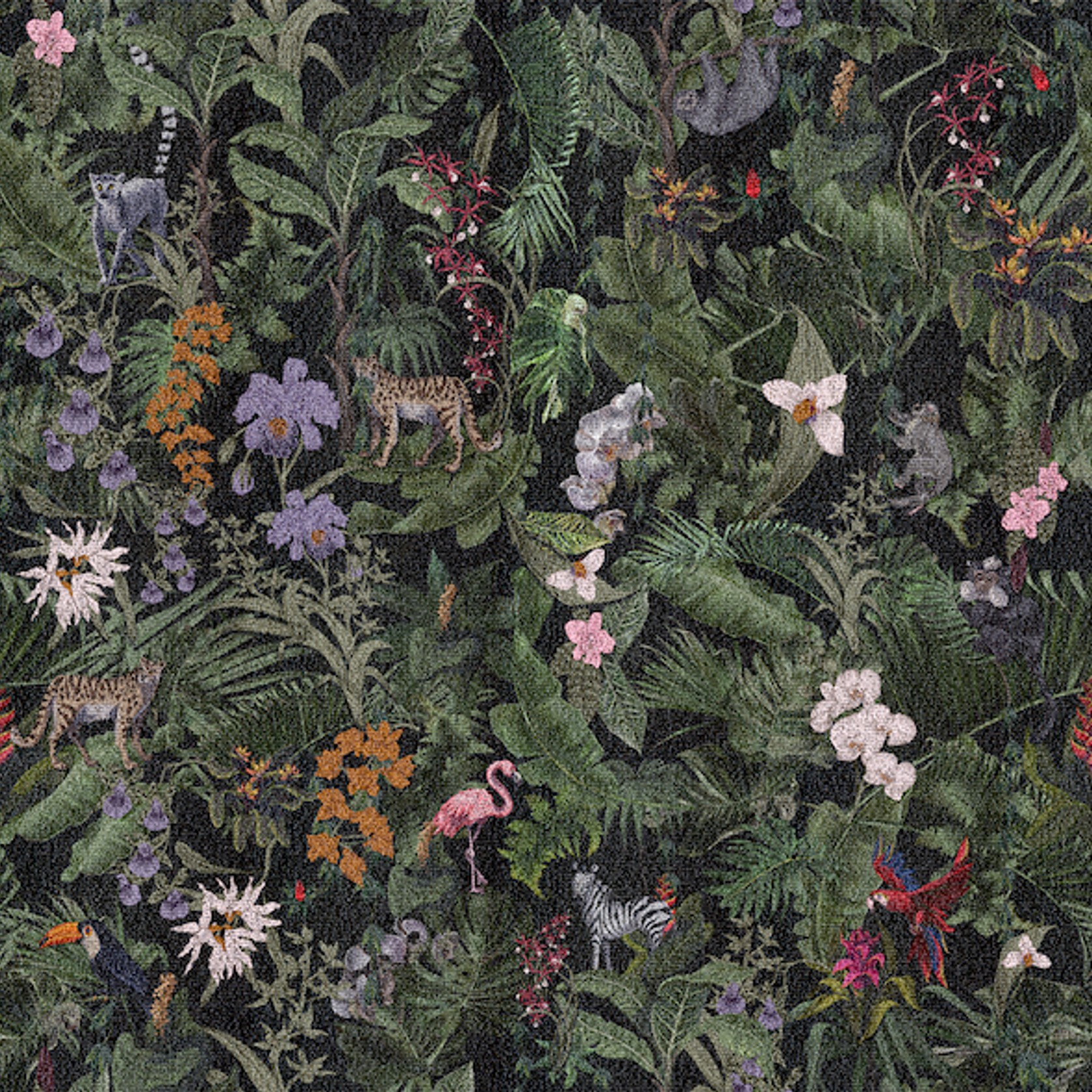 Tropics gallery detail image
