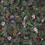 Tropics gallery detail image
