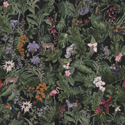 Tropics gallery detail image