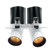 Twin Round Snoot Downlight 12W gallery detail image