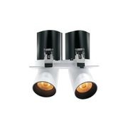 Twin Square Snoot 2x10W Feature Downlight gallery detail image