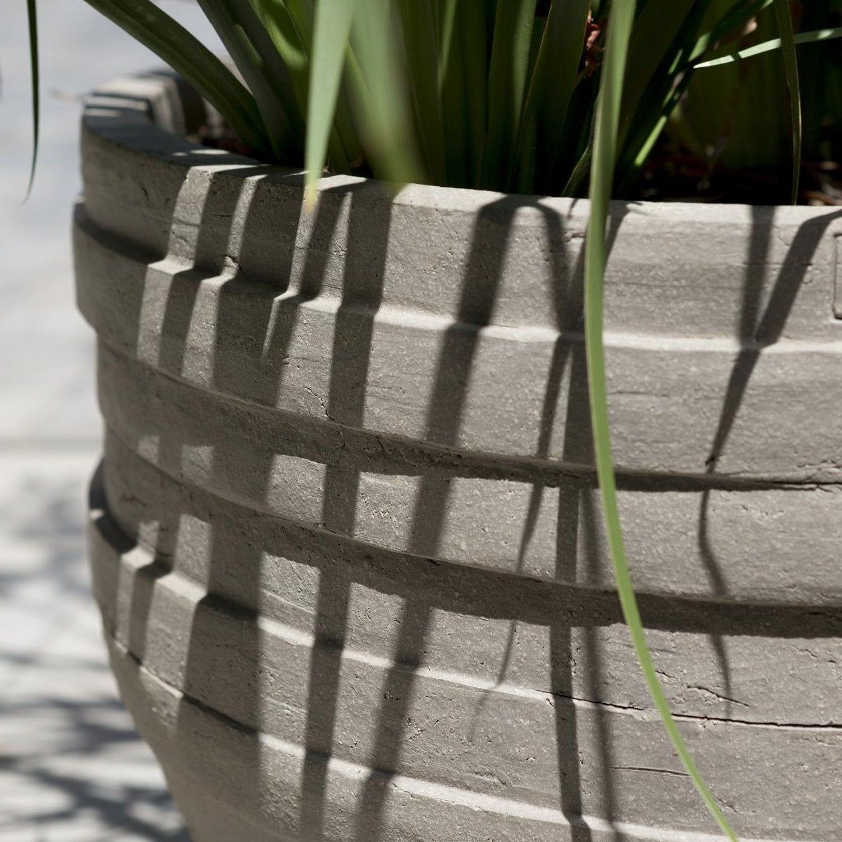 UF gallery detail image