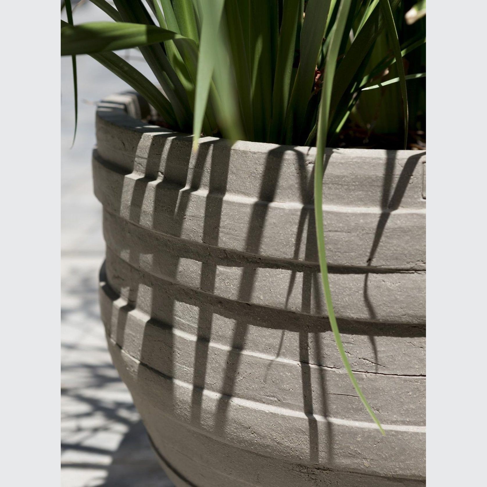 UF gallery detail image