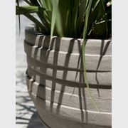 UF gallery detail image