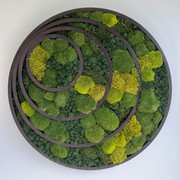 Forest Halo Wall Art by Gaea gallery detail image