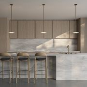Coral Single Pendant - Frosted Glass gallery detail image