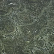 Vivid Green Quartzite Benchtop gallery detail image