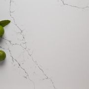 Quantum Zero | Venatino Statuario Quartz gallery detail image