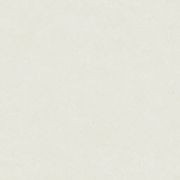 Duc Vera Ice Lane 60x120 gallery detail image
