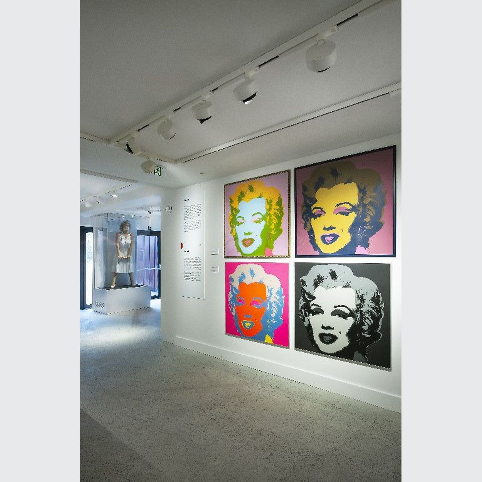 View Opti Spot gallery detail image