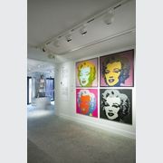 View Opti Spot gallery detail image