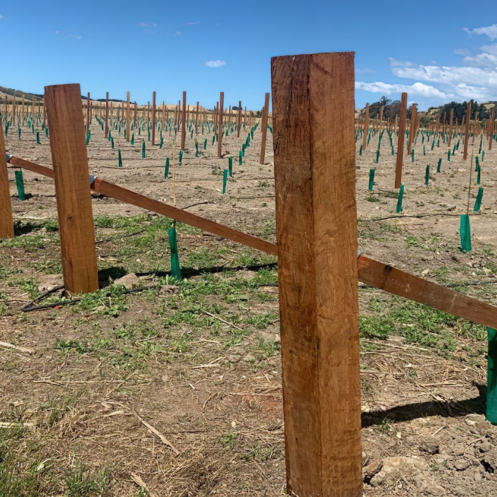 Vineyard Timbers gallery detail image