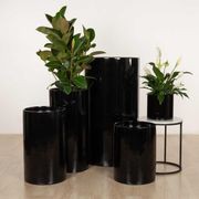 Wilston Cylinder gallery detail image