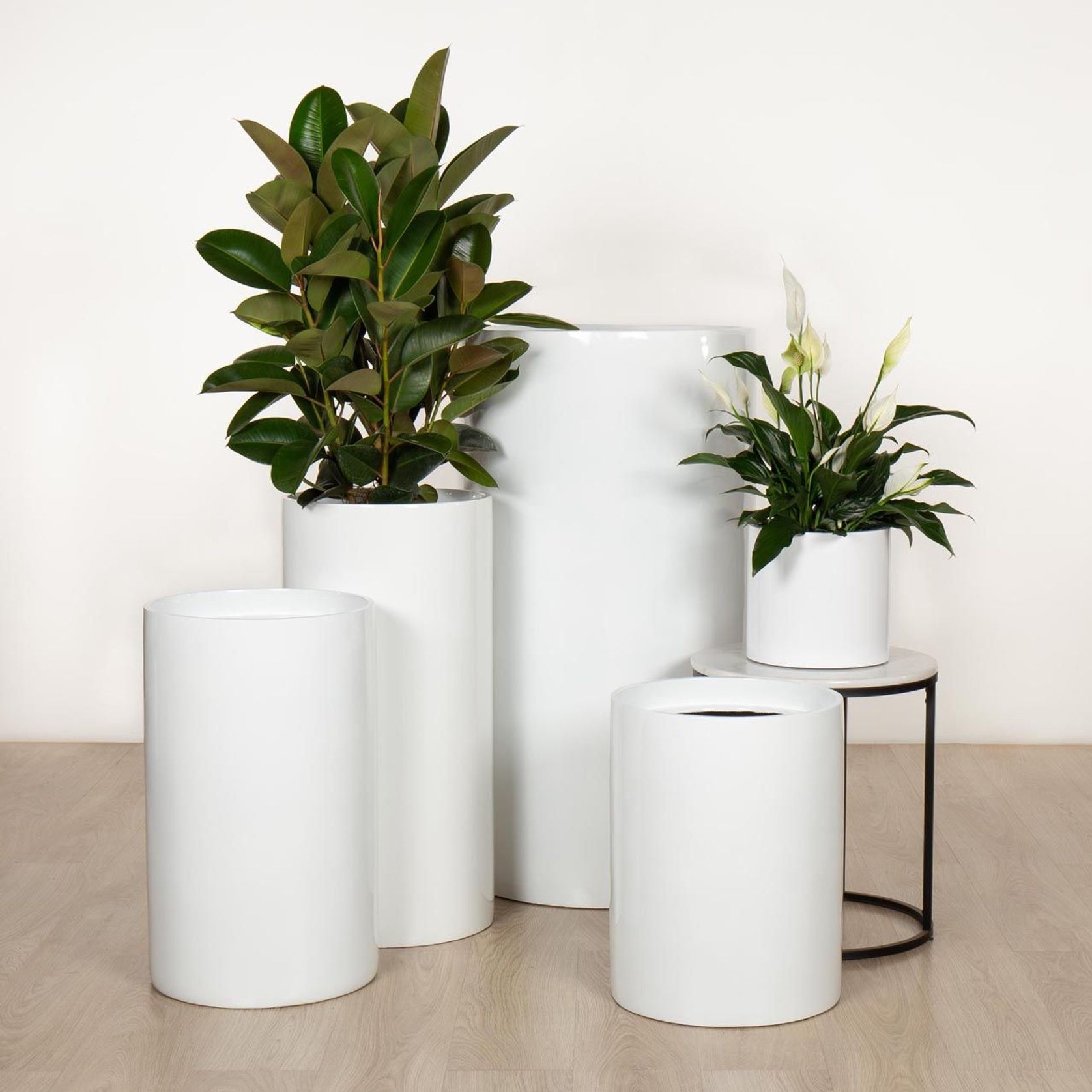 Wilston Cylinder gallery detail image