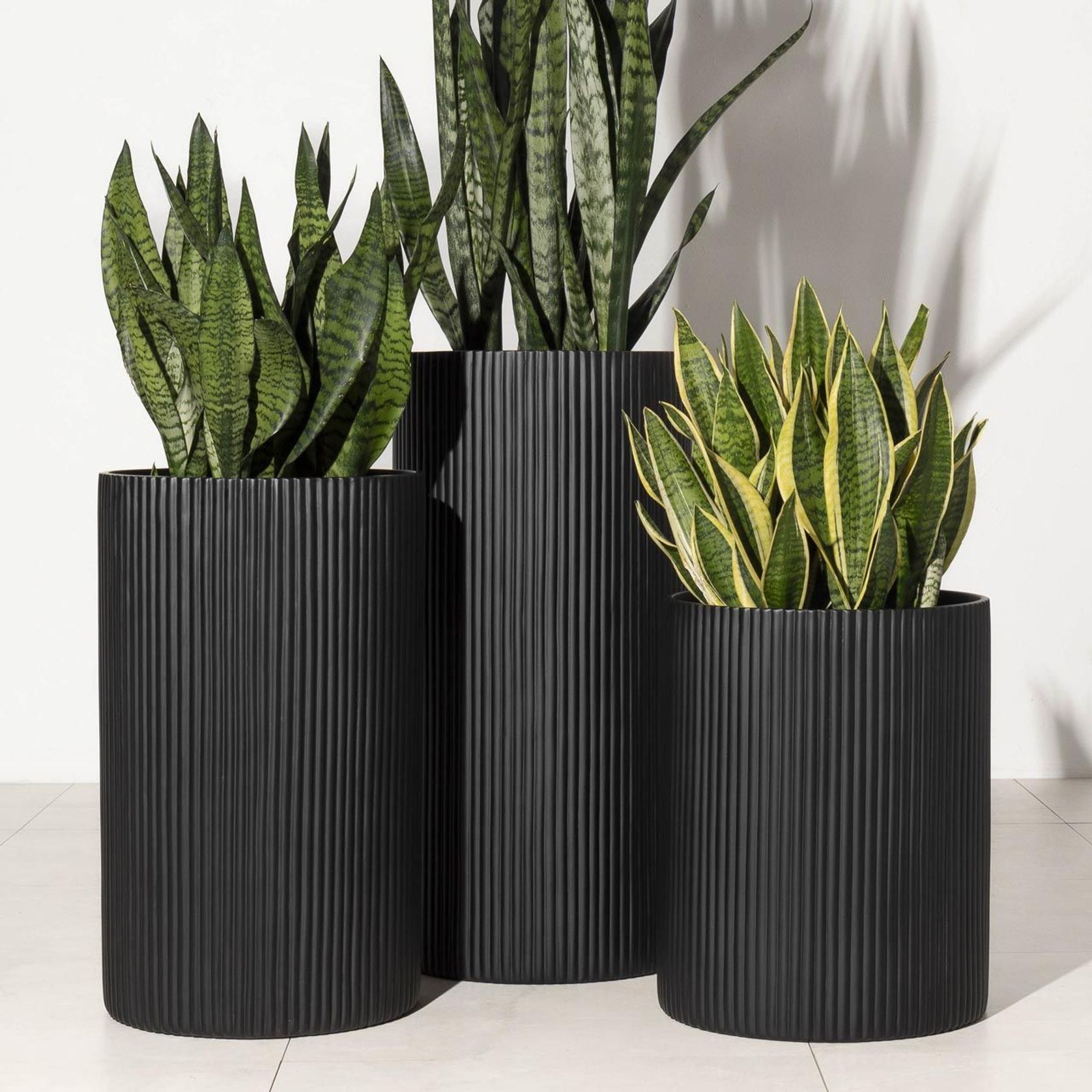 Wilston Cylinder gallery detail image