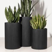 Wilston Cylinder gallery detail image