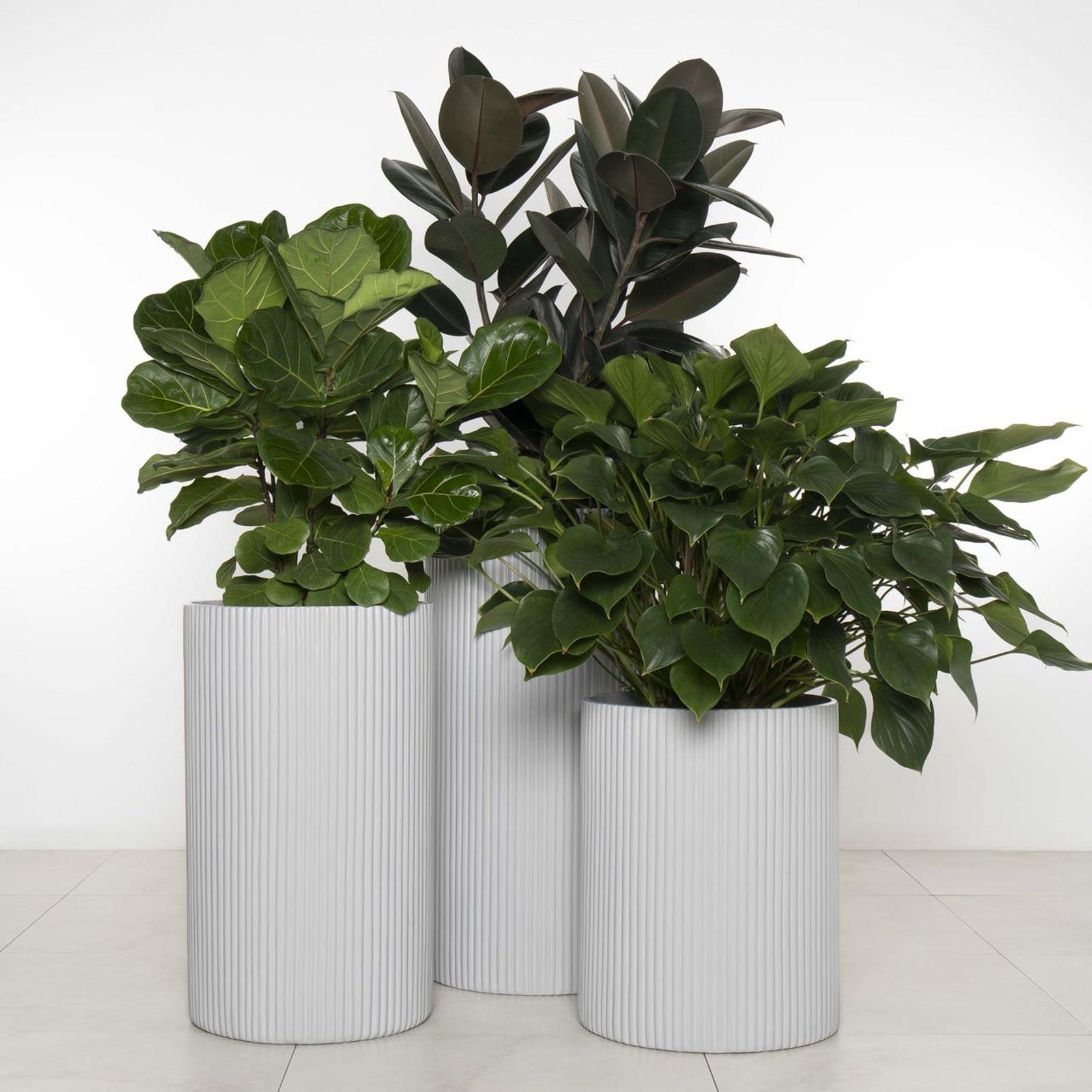 Wilston Cylinder gallery detail image