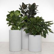 Wilston Cylinder gallery detail image