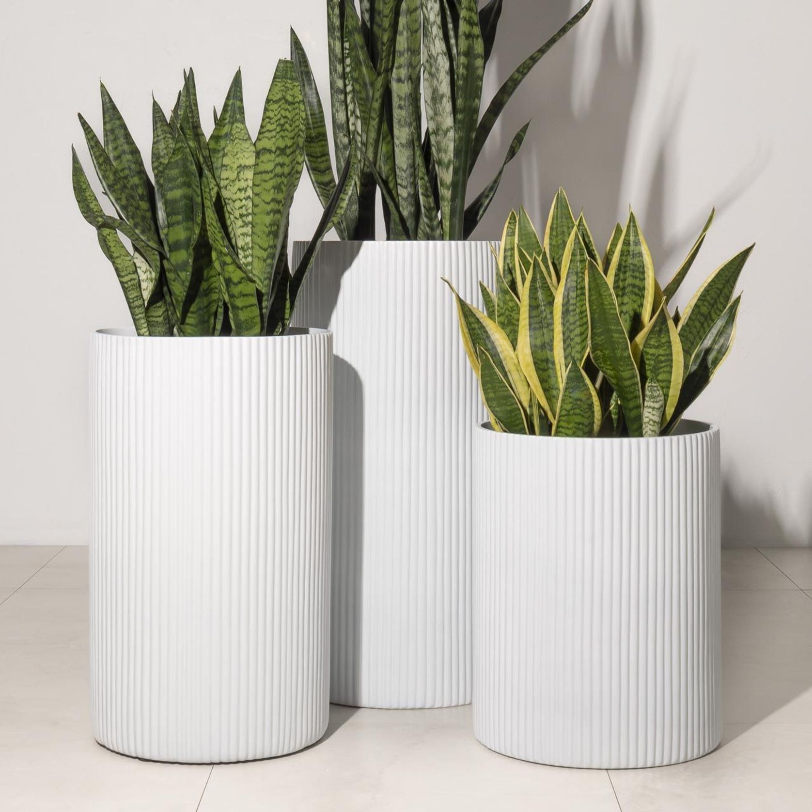 Wilston Cylinder gallery detail image