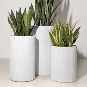 Wilston Cylinder gallery detail image