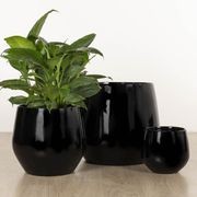 Wynnum Cup gallery detail image