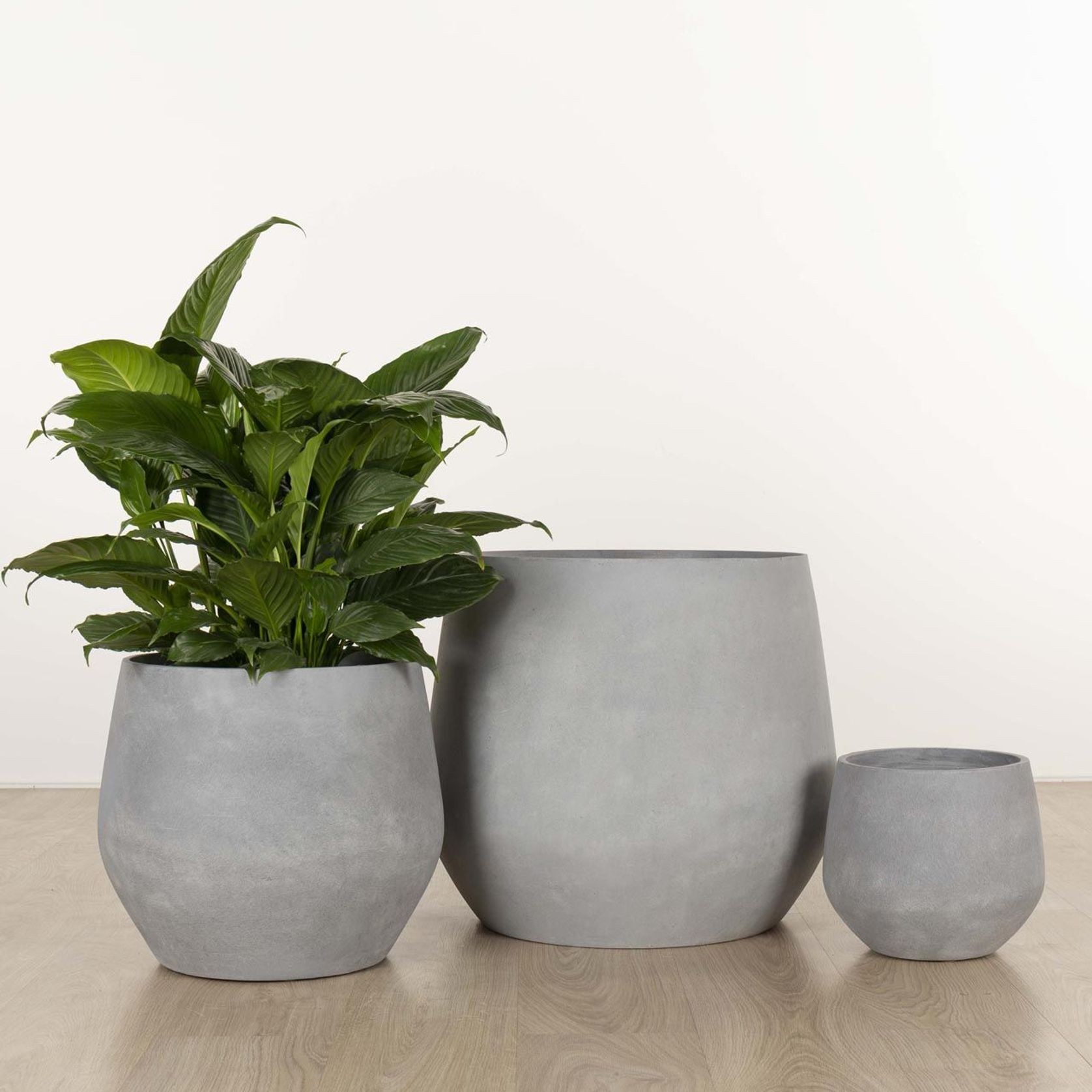 Wynnum Cup gallery detail image