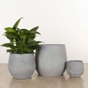 Wynnum Cup gallery detail image