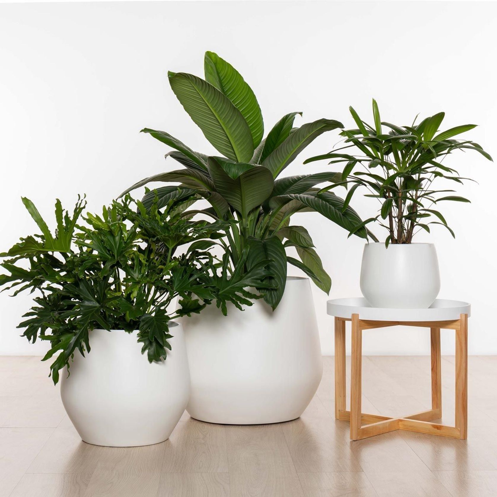 Wynnum Cup gallery detail image