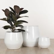 Wynnum Cup gallery detail image