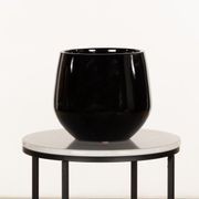 Wynnum Cup gallery detail image