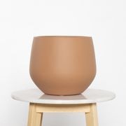 Wynnum Cup gallery detail image