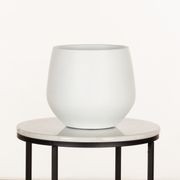 Wynnum Cup gallery detail image