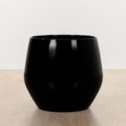 Wynnum Cup gallery detail image