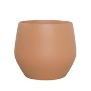 Wynnum Cup gallery detail image