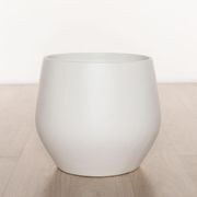 Wynnum Cup gallery detail image