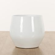 Wynnum Cup gallery detail image