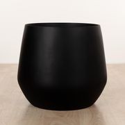 Wynnum Cup gallery detail image