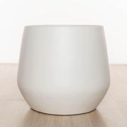 Wynnum Cup gallery detail image