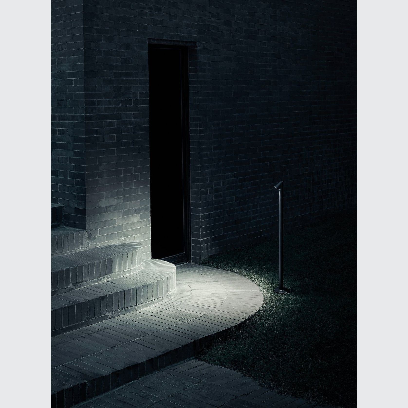 Walkstick gallery detail image