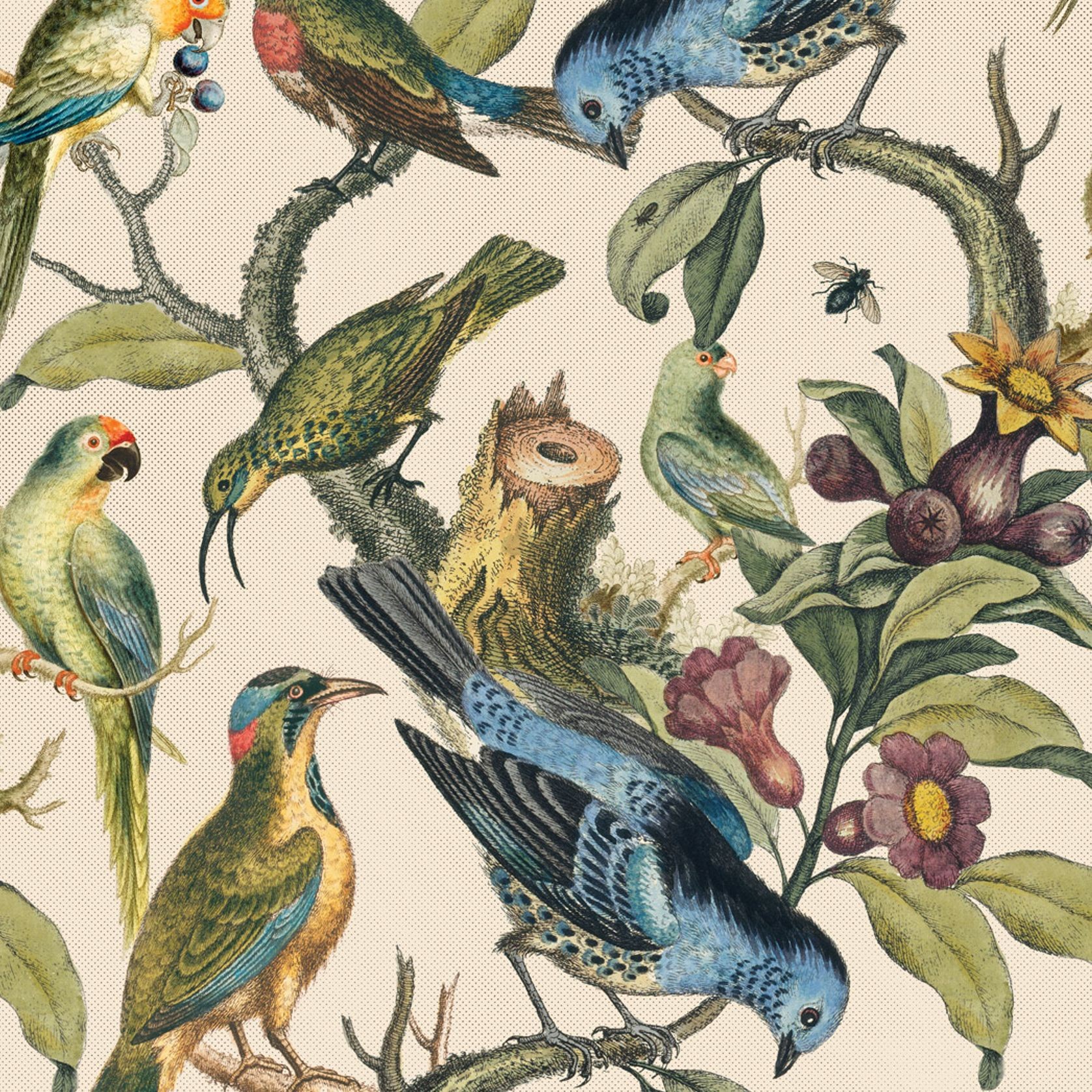 Ornithology Wallpaper gallery detail image