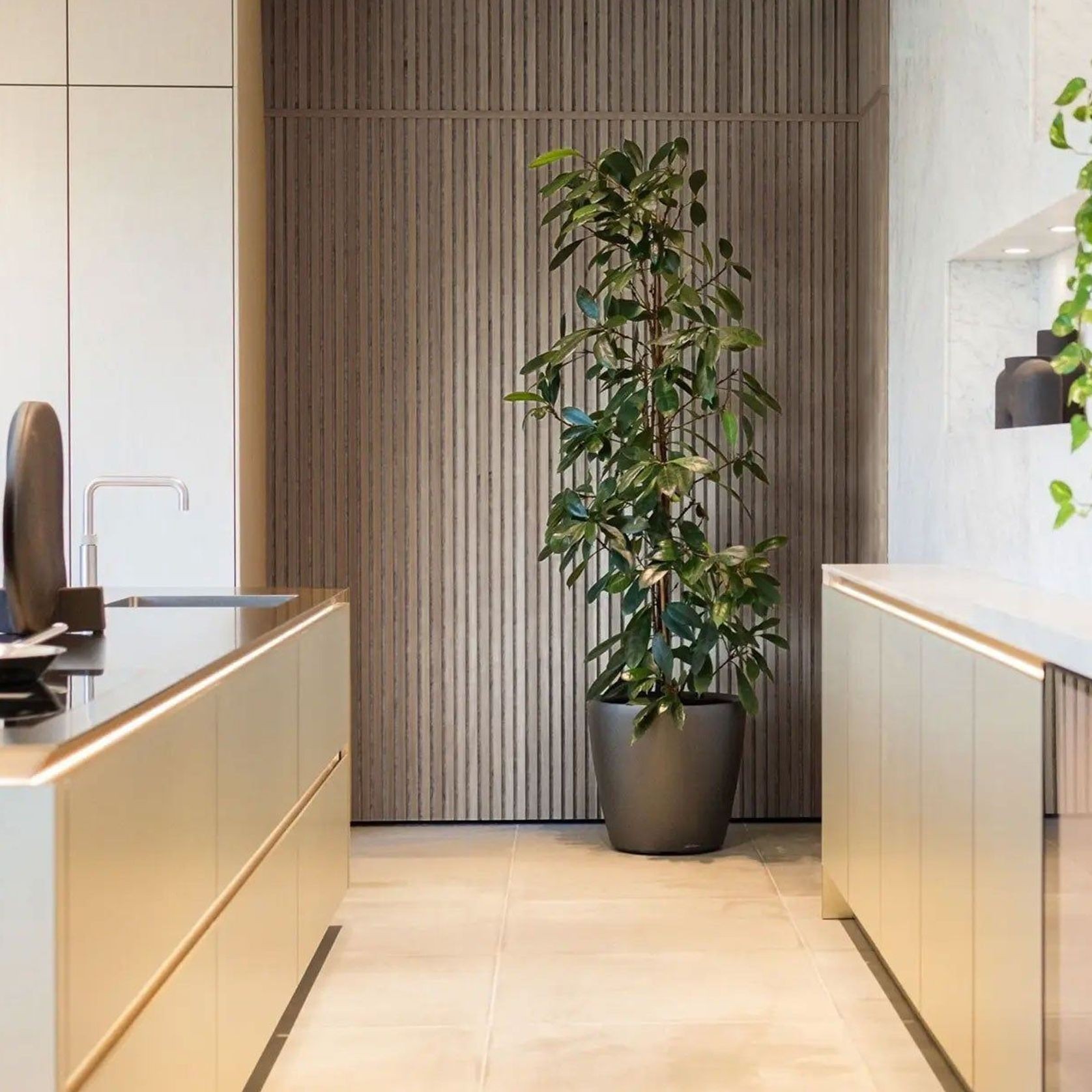 Walnut | Acoustic Panel (Beige Felt) gallery detail image